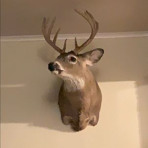 Meet your Posher, Scott